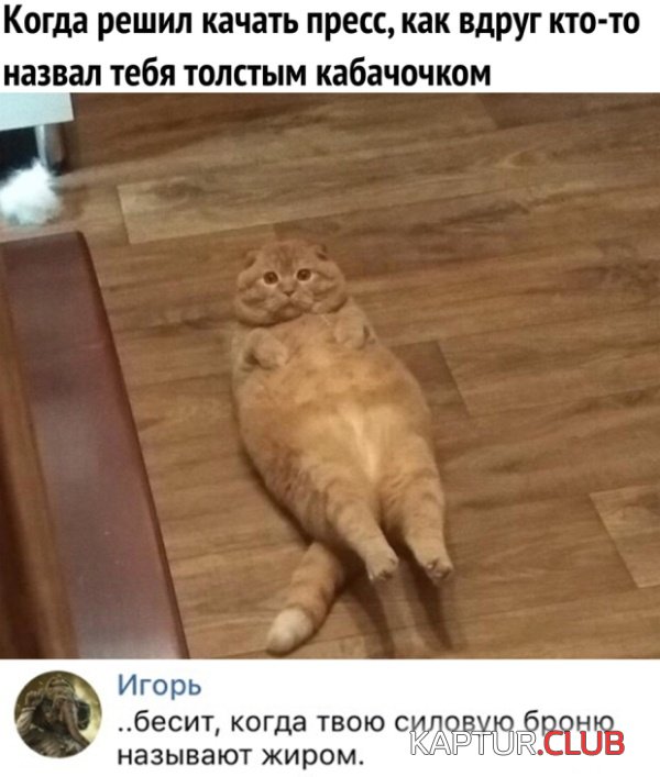 1553077061_podborka_dnevnaya_12.jpg | Рено Каптур Клуб Россия | Форум KAPTUR.SU