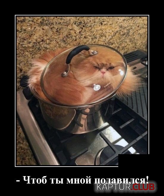 1553426923_demotivatory_06.jpg | Рено Каптур Клуб Россия | Форум KAPTUR.SU