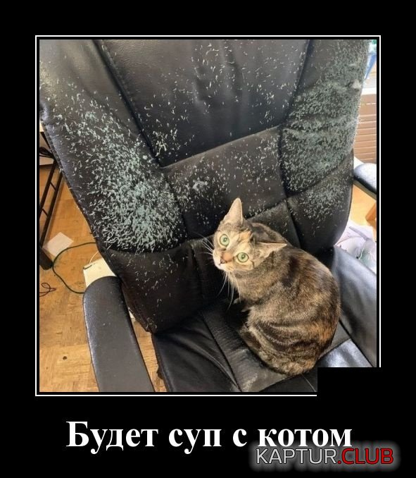 1553434471_demotivatory_14.jpg | Рено Каптур Клуб Россия | Форум KAPTUR.SU