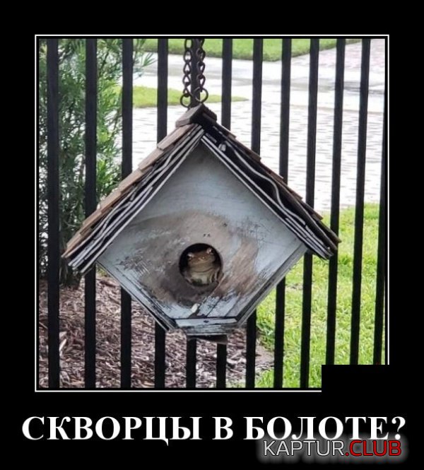 1553864524_demotivatory_29.jpg | Рено Каптур Клуб Россия | Форум KAPTUR.SU