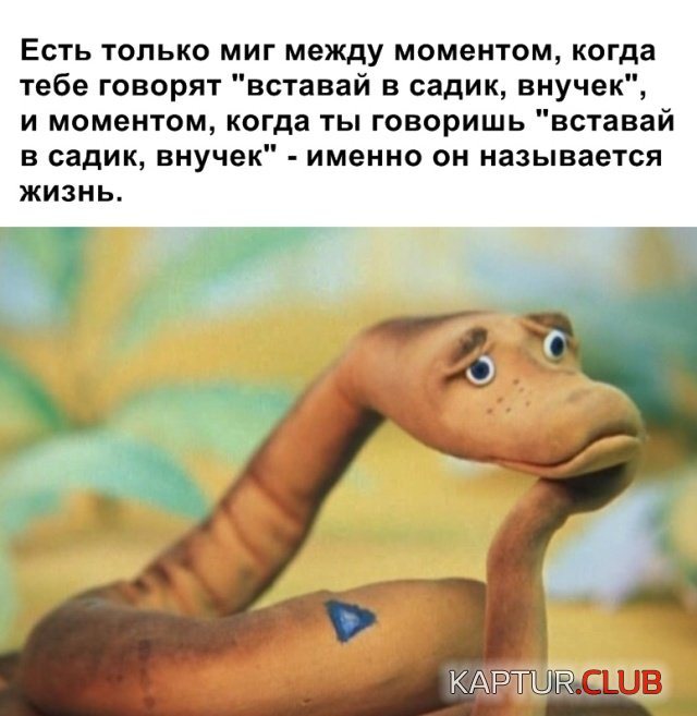 1554538956_podborka_05.jpg | Рено Каптур Клуб Россия | Форум KAPTUR.SU