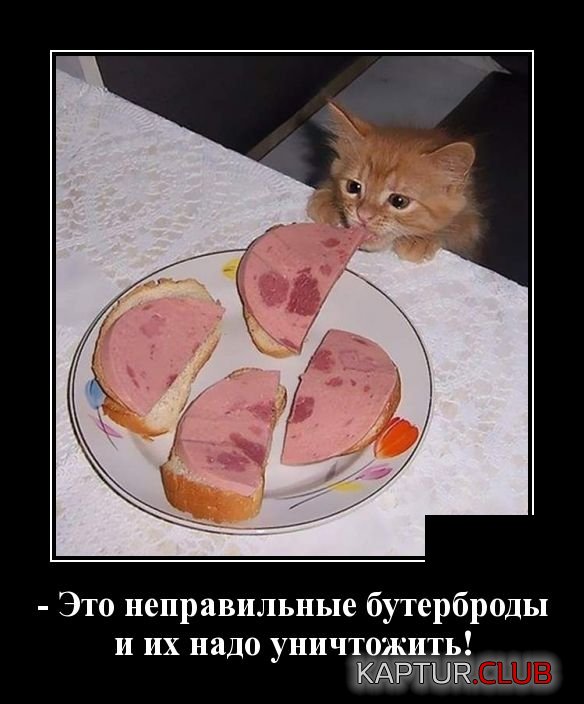 1554644484_demotivatory_20.jpg | Рено Каптур Клуб Россия | Форум KAPTUR.SU