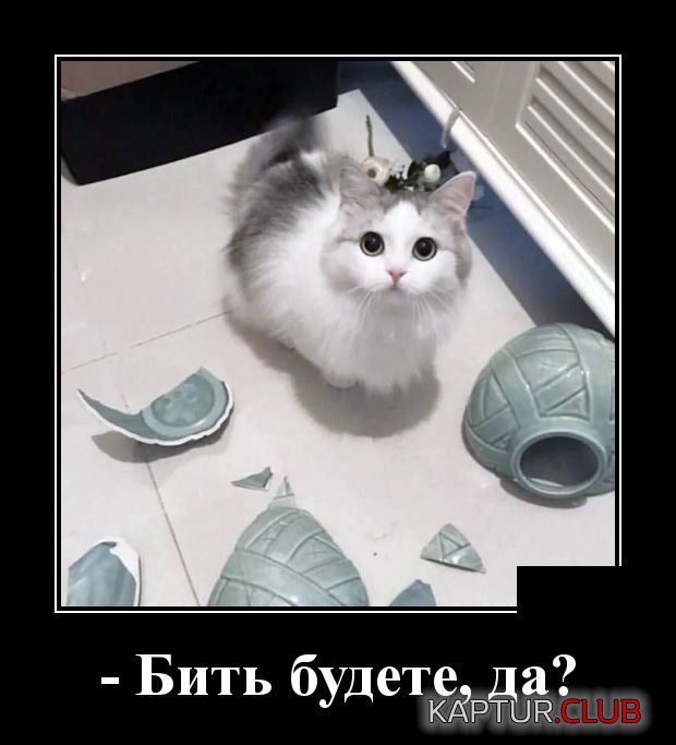 1554644503_demotivatory_10.jpg | Рено Каптур Клуб Россия | Форум KAPTUR.SU