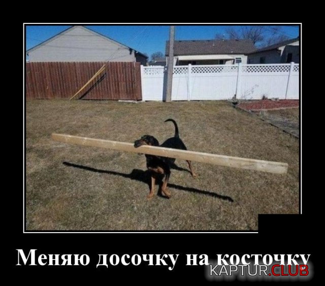 1554644519_demotivatory_29.jpg | Рено Каптур Клуб Россия | Форум KAPTUR.SU