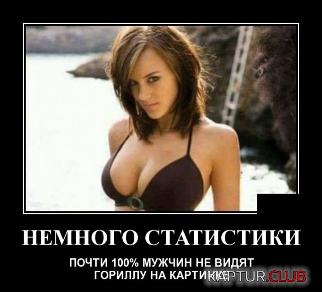 1554644527_demotivatory_16.jpg | Рено Каптур Клуб Россия | Форум KAPTUR.SU