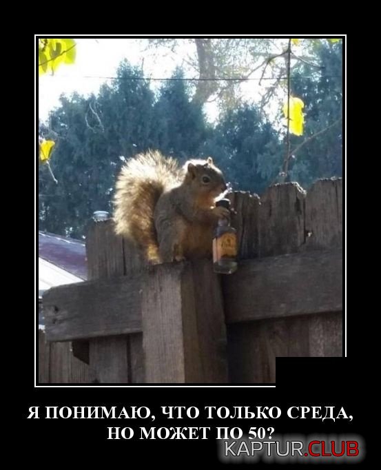 1554646906_demotivatory_20.jpg | Рено Каптур Клуб Россия | Форум KAPTUR.SU