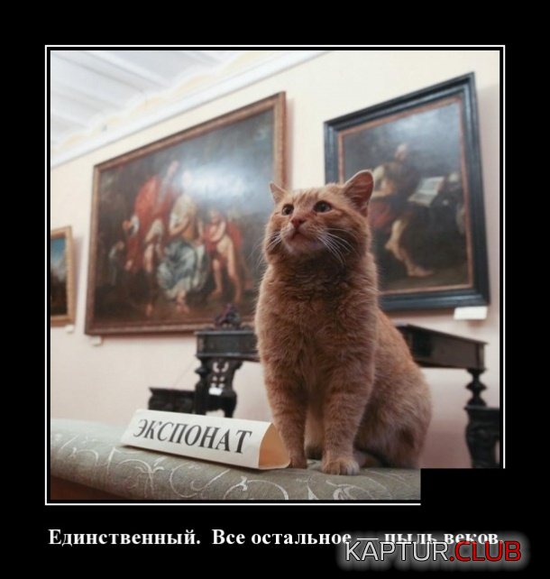 1554973767_demotivatory_20.jpg | Рено Каптур Клуб Россия | Форум KAPTUR.SU