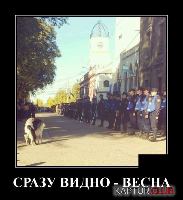 1554973773_demotivatory_07.jpg | Рено Каптур Клуб Россия | Форум KAPTUR.SU