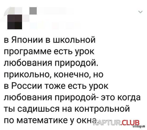 1554979194_soc_seti_14.jpg | Рено Каптур Клуб Россия | Форум KAPTUR.SU