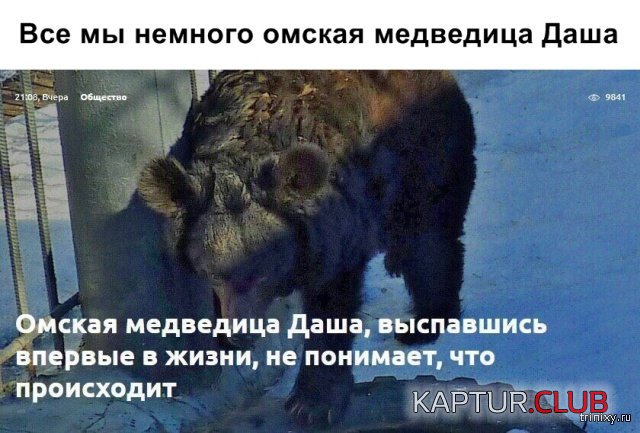 1555068619_novosti_01.jpg | Рено Каптур Клуб Россия | Форум KAPTUR.SU