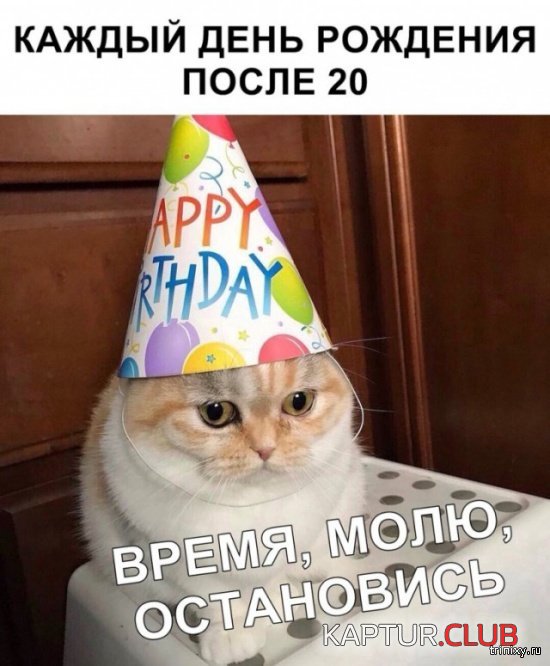 1555143679_podborka_19.jpg | Рено Каптур Клуб Россия | Форум KAPTUR.SU