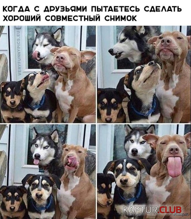1555143712_podborka_13.jpg | Рено Каптур Клуб Россия | Форум KAPTUR.SU