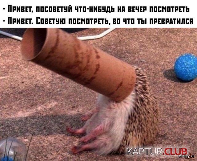 1555411830_soc_seti_02.jpg | Рено Каптур Клуб Россия | Форум KAPTUR.SU