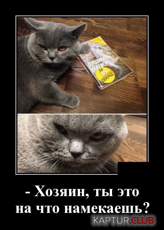 1556094015_demotivatory_14.jpg | Рено Каптур Клуб Россия | Форум KAPTUR.SU