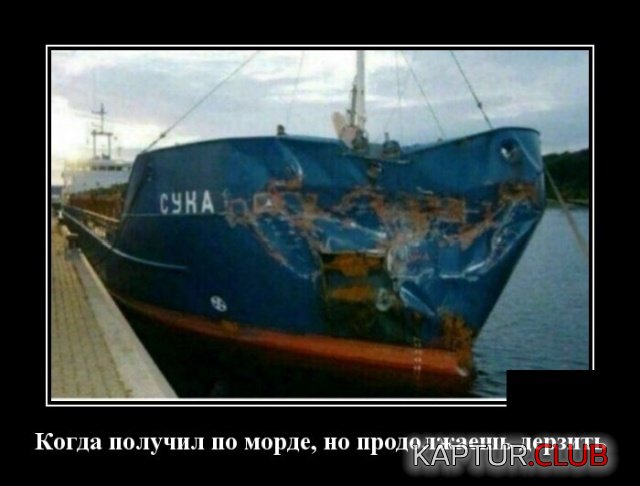 1556094035_demotivatory_15.jpg | Рено Каптур Клуб Россия | Форум KAPTUR.SU