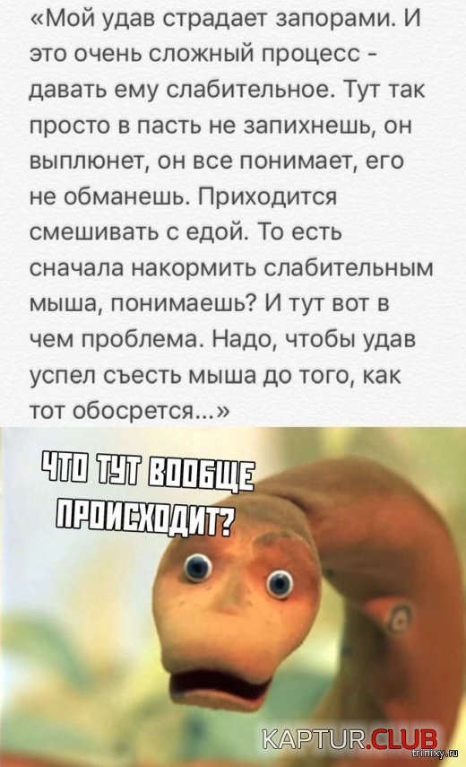 1556258779_soc_seti_07.jpg | Рено Каптур Клуб Россия | Форум KAPTUR.SU