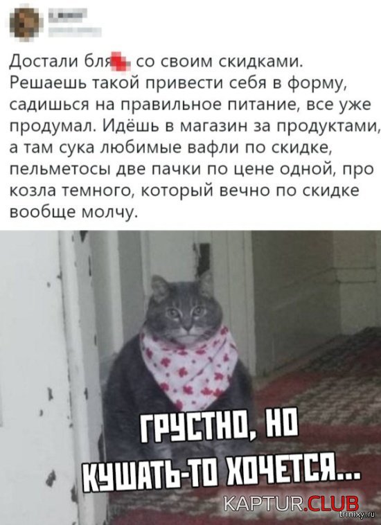 1556258805_soc_seti_08.jpg | Рено Каптур Клуб Россия | Форум KAPTUR.SU