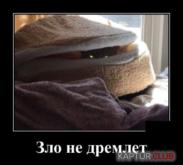 1556524878_demotivatory_01.jpg | Рено Каптур Клуб Россия | Форум KAPTUR.SU