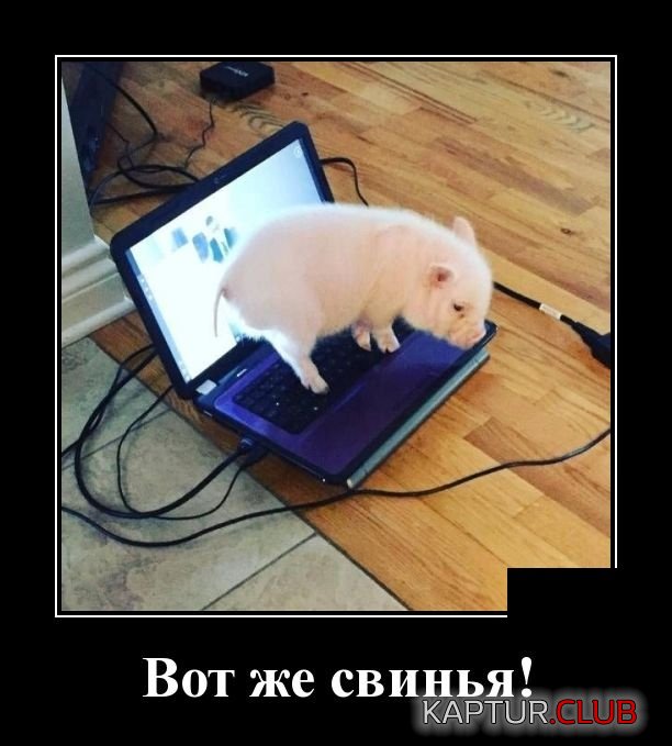 1556524882_demotivatory_09.jpg | Рено Каптур Клуб Россия | Форум KAPTUR.SU