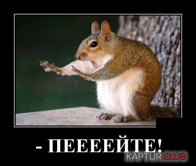 1556549437_demotivatory_25.jpg | Рено Каптур Клуб Россия | Форум KAPTUR.SU