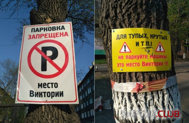 1556872616_podborka_dnevnaya_20.jpg | Рено Каптур Клуб Россия | Форум KAPTUR.SU
