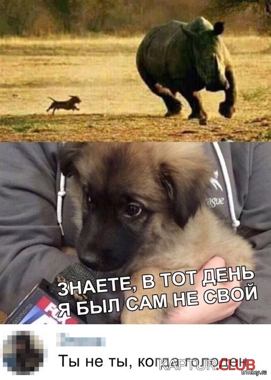 1557127793_soc_seti_21.jpg | Рено Каптур Клуб Россия | Форум KAPTUR.SU