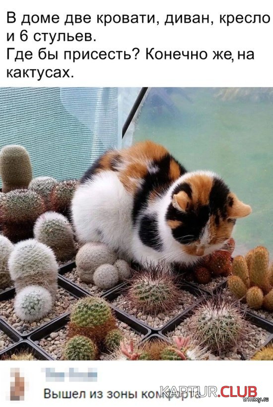 1557127842_soc_seti_20.jpg | Рено Каптур Клуб Россия | Форум KAPTUR.SU