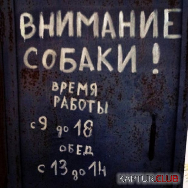 1557295248_podborka_dnevnaya_02.jpg | Рено Каптур Клуб Россия | Форум KAPTUR.SU