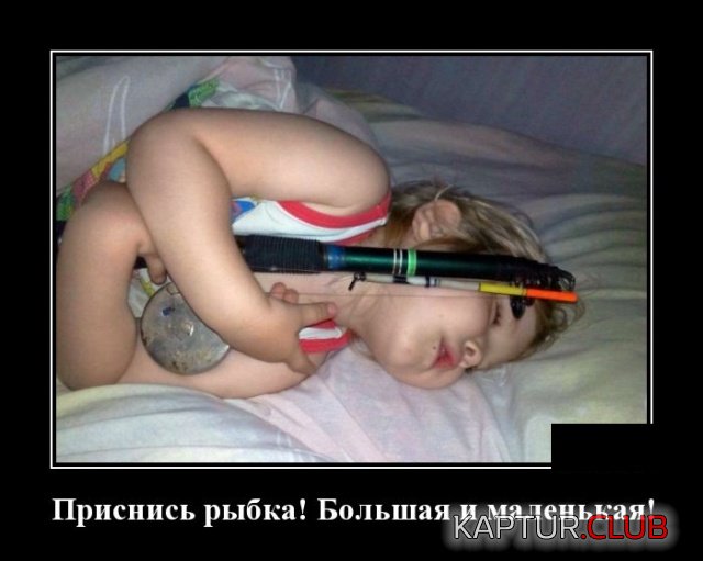 1557296642_demotivatory_07.jpg | Рено Каптур Клуб Россия | Форум KAPTUR.SU