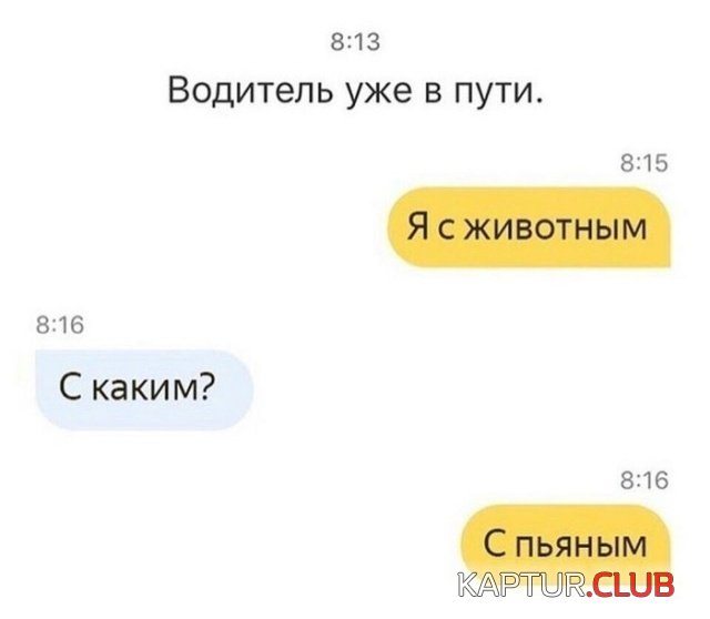 1557477252_podborka_dnevnaya_13.jpg | Рено Каптур Клуб Россия | Форум KAPTUR.SU