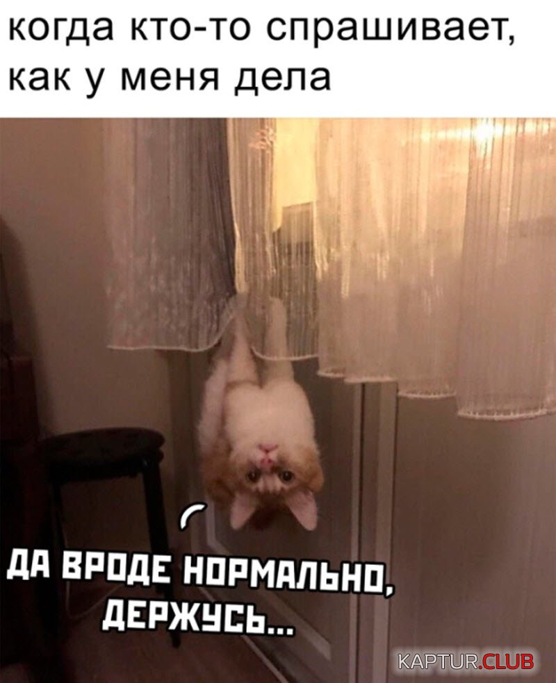 1558511125_1-1-12.jpg | Рено Каптур Клуб Россия | Форум KAPTUR.SU