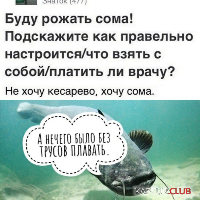 1558521715_1558416571_ero-8.jpg | Рено Каптур Клуб Россия | Форум KAPTUR.SU