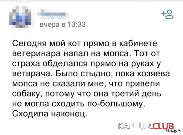 1558941014_sots_seti_01.jpg | Рено Каптур Клуб Россия | Форум KAPTUR.SU
