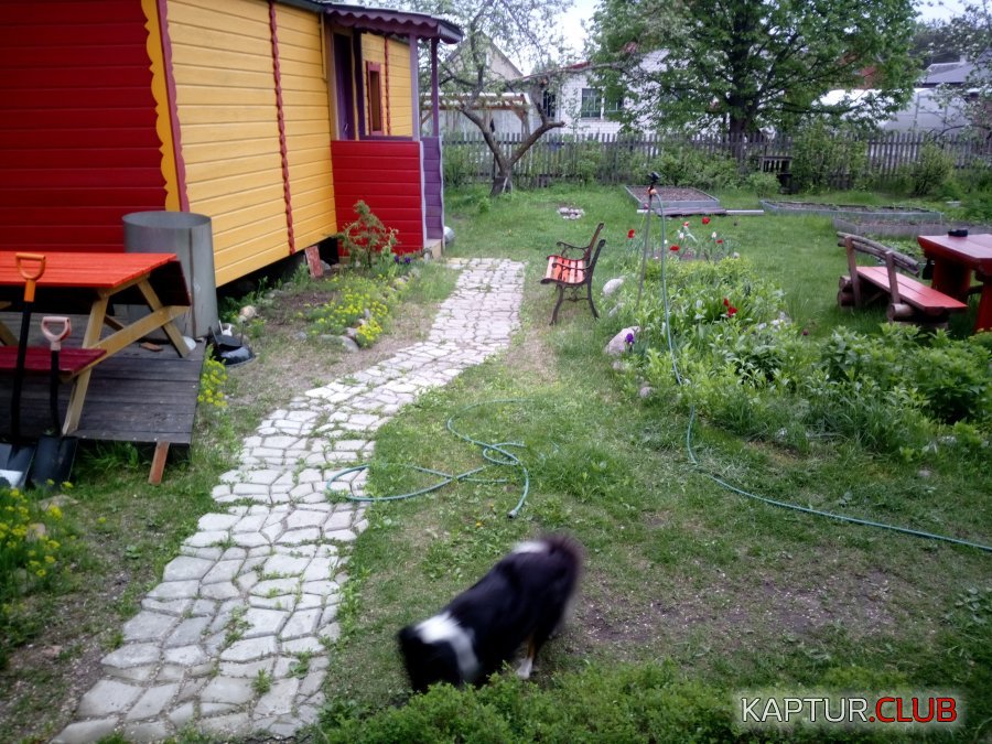 15590650483973561941746881538505.jpg | Рено Каптур Клуб Россия | Форум KAPTUR.SU