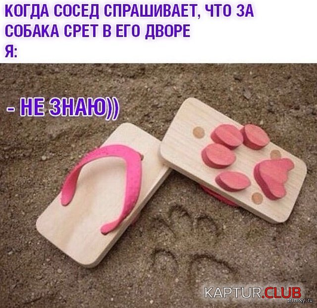 1559111151_kartinki_24.jpg | Рено Каптур Клуб Россия | Форум KAPTUR.SU