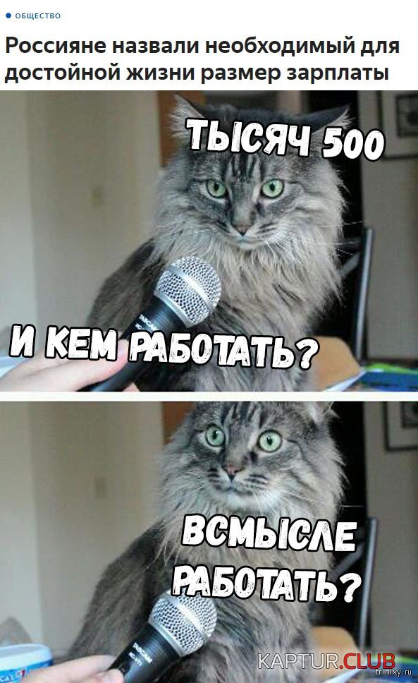 1559111187_kartinki_18.jpg | Рено Каптур Клуб Россия | Форум KAPTUR.SU