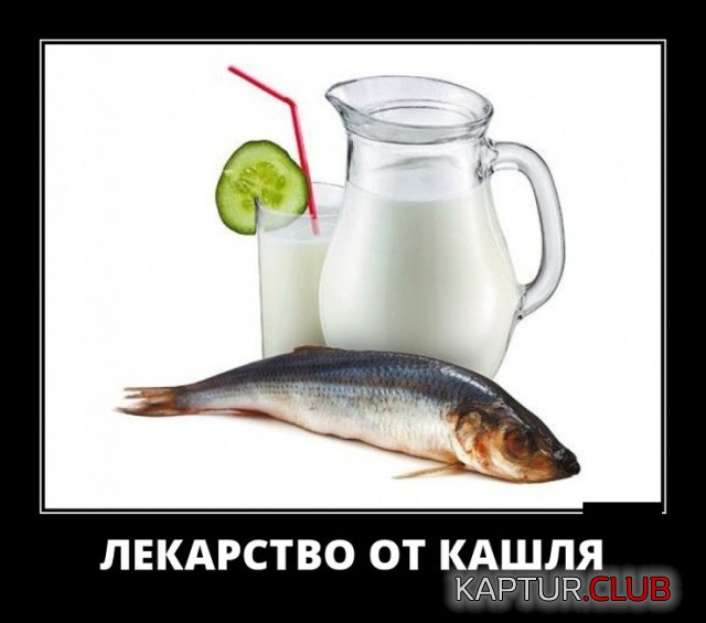 1559290330_demotivatory_16.jpg | Рено Каптур Клуб Россия | Форум KAPTUR.SU