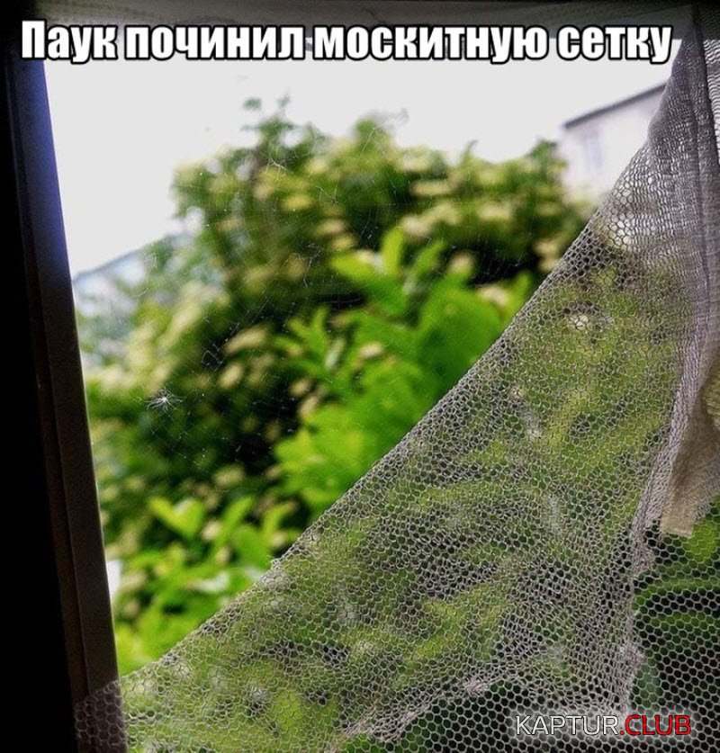 1559640769_1-24.jpg | Рено Каптур Клуб Россия | Форум KAPTUR.SU