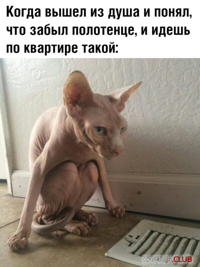 1559640858_1-8.jpg | Рено Каптур Клуб Россия | Форум KAPTUR.SU