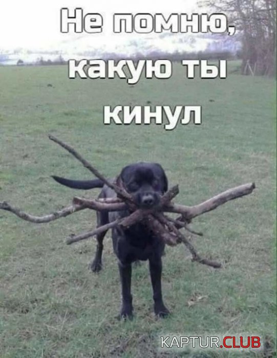 1560758429_1560748592_pruk-24.jpg | Рено Каптур Клуб Россия | Форум KAPTUR.SU
