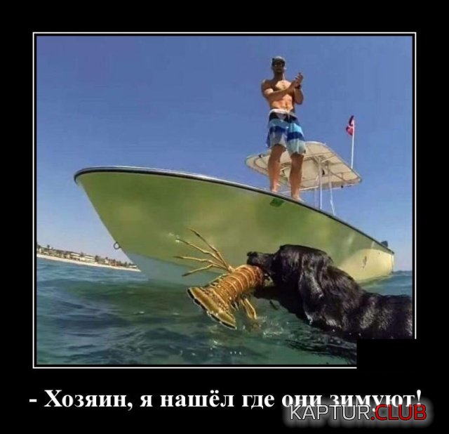 1560776701_demotivatory_08.jpg | Рено Каптур Клуб Россия | Форум KAPTUR.SU