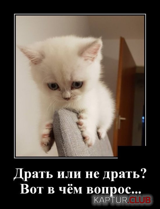 1560776706_demotivatory_14.jpg | Рено Каптур Клуб Россия | Форум KAPTUR.SU