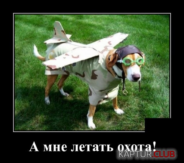 1561298561_demotivatory_04.jpg | Рено Каптур Клуб Россия | Форум KAPTUR.SU