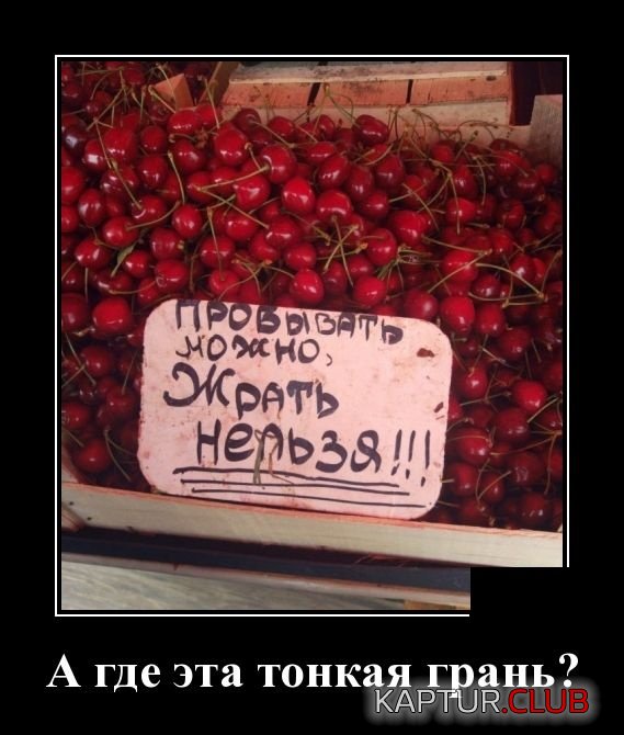 1561298589_demotivatory_03.jpg | Рено Каптур Клуб Россия | Форум KAPTUR.SU