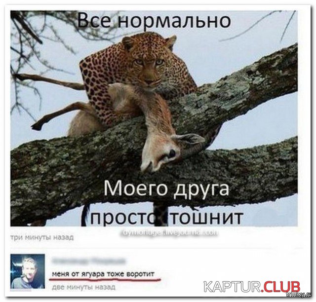 156150_30_trinixy_ru.jpg | Рено Каптур Клуб Россия | Форум KAPTUR.SU