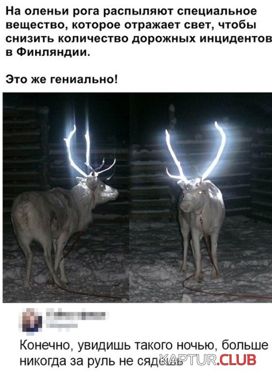1561536159_soc_seti_14.jpg | Рено Каптур Клуб Россия | Форум KAPTUR.SU