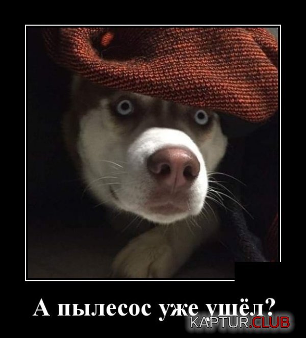 1561545986_demotivatory_16.jpg | Рено Каптур Клуб Россия | Форум KAPTUR.SU