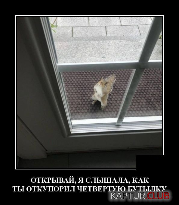 1561902728_demotivatory_20.jpg | Рено Каптур Клуб Россия | Форум KAPTUR.SU
