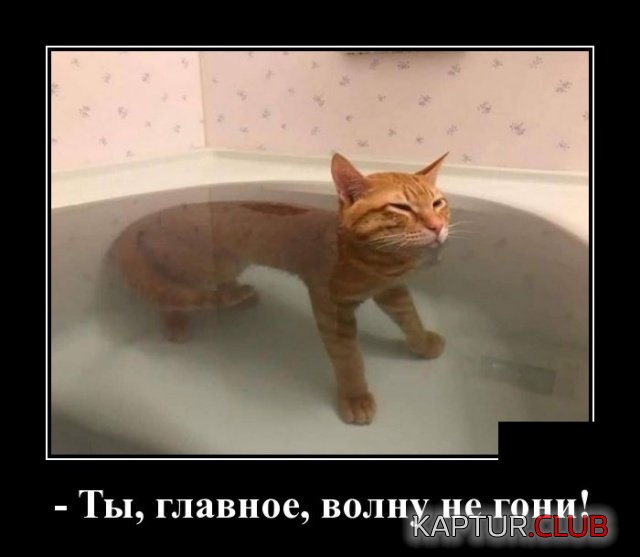 1562750107_demotivatory_02.jpg | Рено Каптур Клуб Россия | Форум KAPTUR.SU