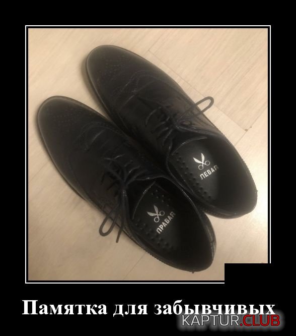 1564567808_demotivatory_01.jpg | Рено Каптур Клуб Россия | Форум KAPTUR.SU
